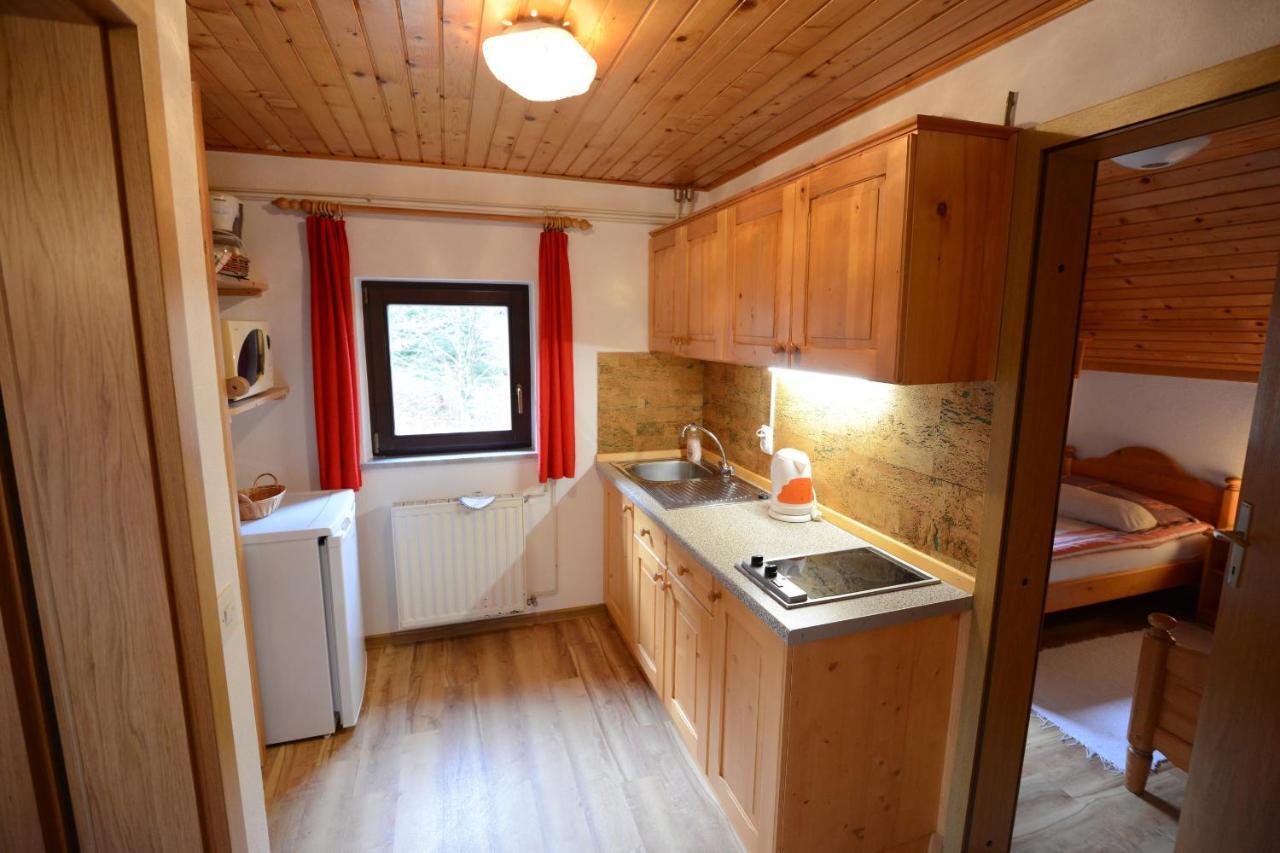 Apartmaji Zupancic 博希尼 外观 照片